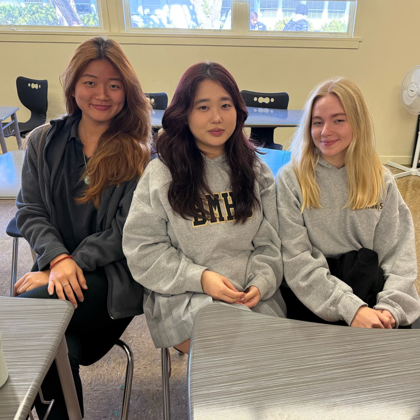 Ambassador responsibilities - mentoring and leadership development